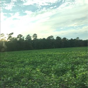 Meet your Posher, Arely